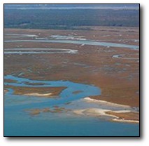 Sixty-Bass Creek, North Inlet inlet_and_marsh.jpg